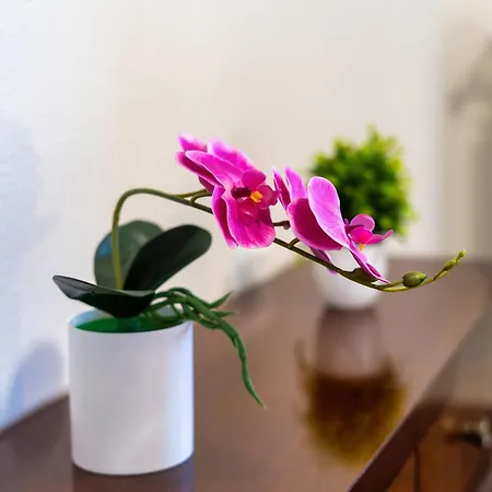 Daire Chiara's Flat Lajatico