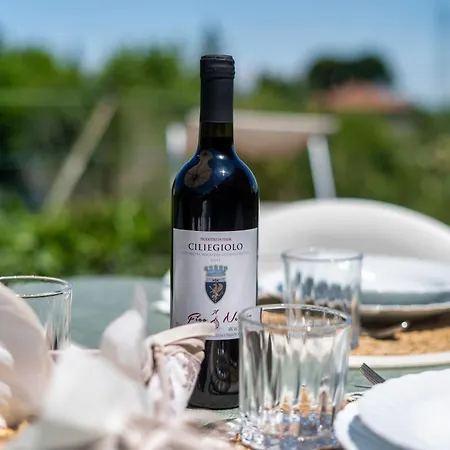 Chiara's Flat Apartamento Lajatico